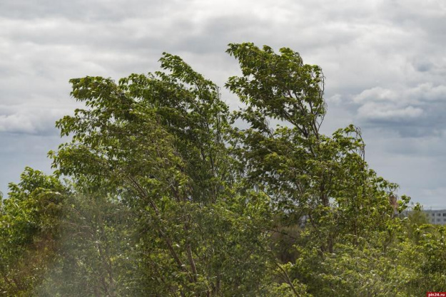 В ближайшие сутки, 31 октября (пятница), во многих районах Гродненской области ожидается юго-западный, днем с переходом на северо-западный ветер порывами 15-20 м/с. В ближайшие сутки, 31 октября (пятница), во многих районах Гродненской области ожидается юго-западный, днем с переходом на северо-западный ветер порывами 15-20 м/с.