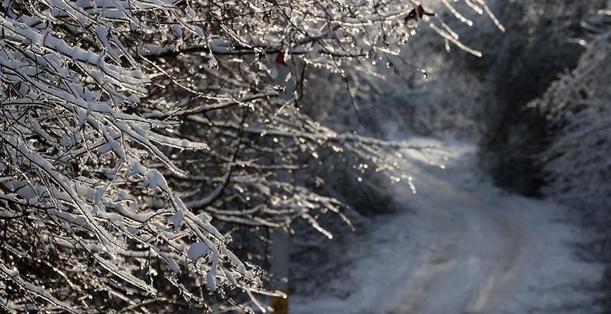 "Холода с каждым днем будут сдавать позиции". Синоптики о погоде на 13-18 января