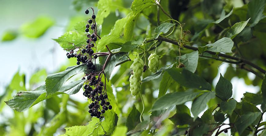 Сильный ветер, дожди и до +20°С. Синоптики о погоде на неделю