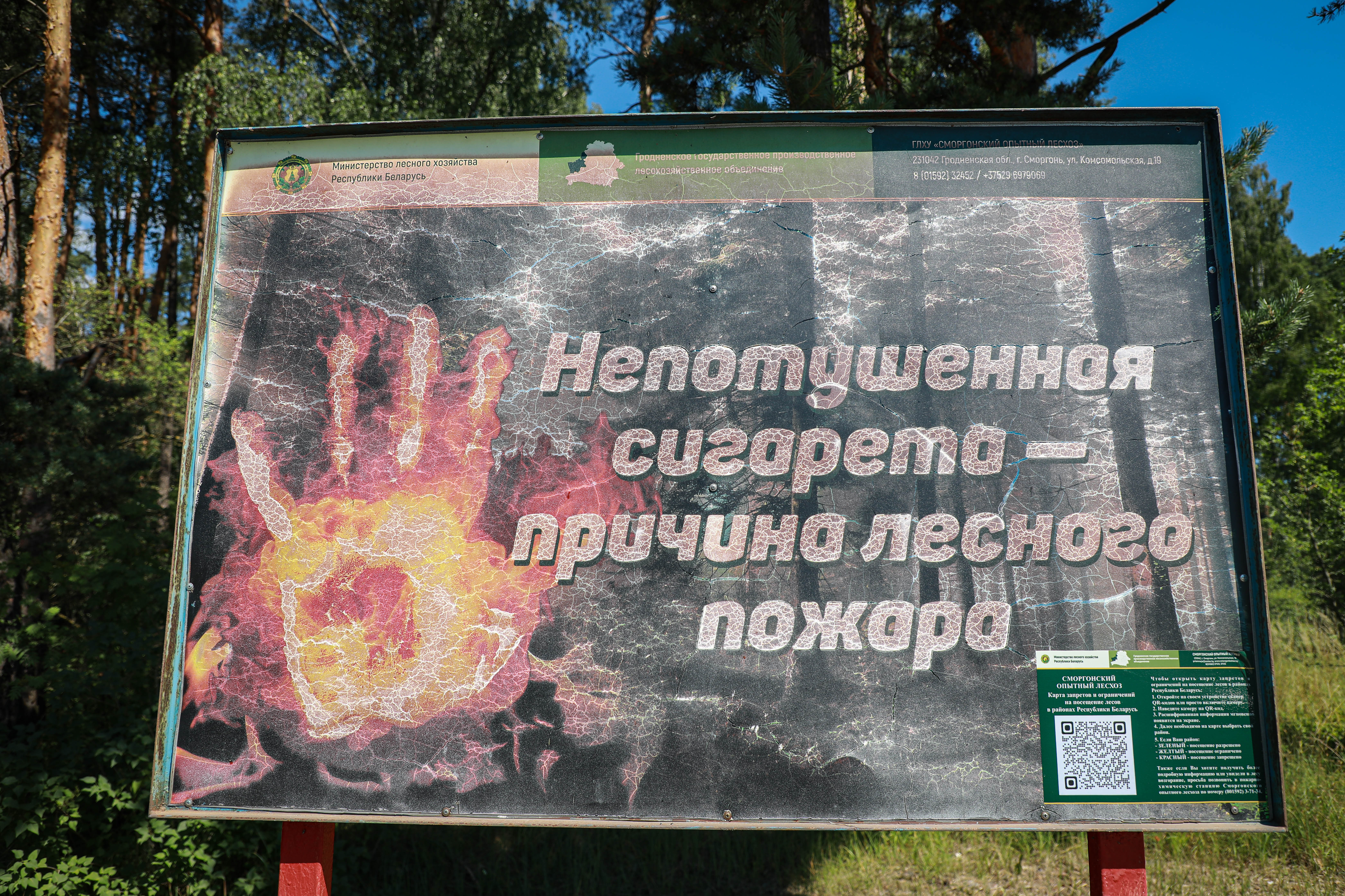 Таблички с QR-кодами быстро сориентируют сморгонцев, можно ли посещать лес. Рассказываем, где их найти, и как ими пользоваться