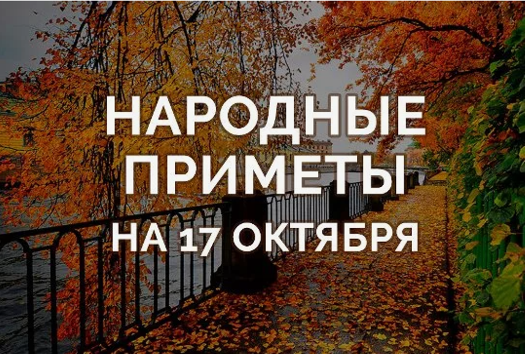 Народные приметы на 17 октября 2024 года: что нельзя делать в Ерофеев день