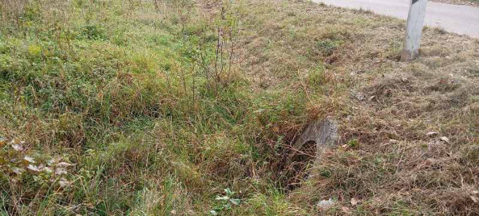 Трава в д.Заозерцы будет покошена Трава в д.Заозерцы будет покошена