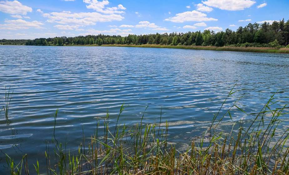 Два друга утонули в Сморгонском районе. Следователи проводят проверку