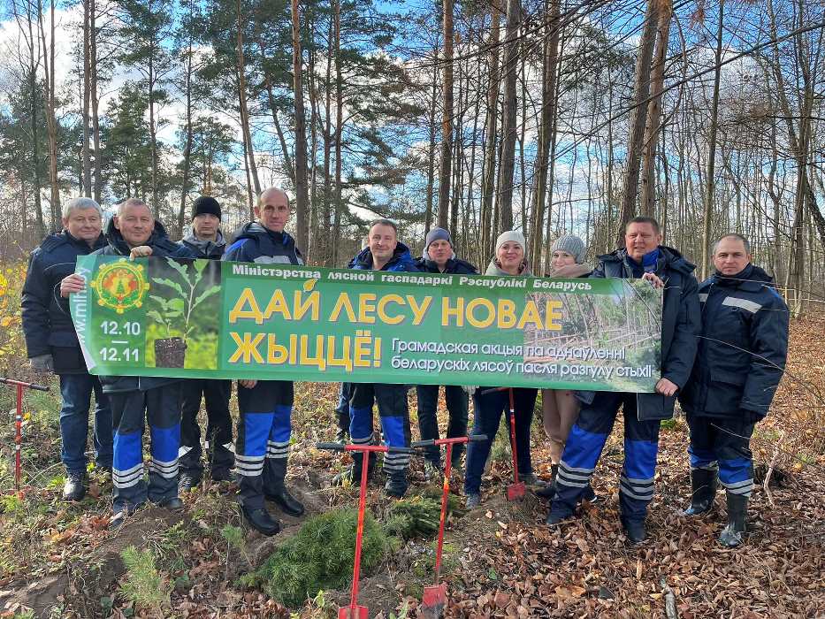 Сотрудники Гродненского филиала РУП «Белтелеком» Сморгонского зонального узла электросвязи приняли участие в акции «Дай лесу новае жыццё»