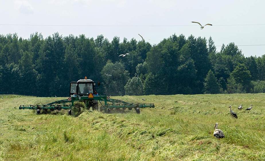 Четыре региона страны приступили к заготовке травяных кормов