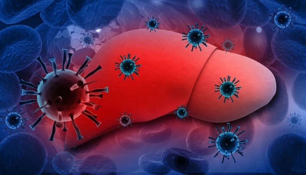Вирусный гепатит: причины, симптомы и меры предосторожности 