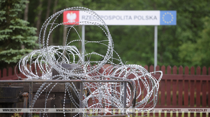Польский блогер о заборе в Беловежской пуще: его вообще не должно существовать
