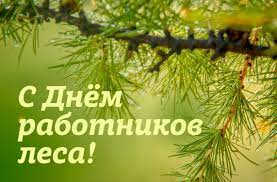 Поздравление Президента работников и ветеранов лесного хозяйства и деревообрабатывающей промышленности