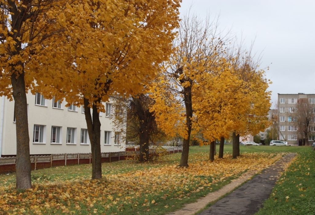 Осень в Сморгонских двориках
