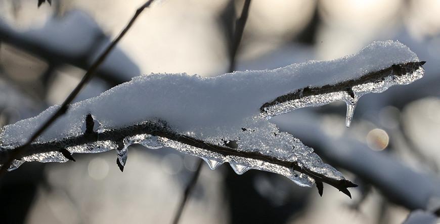 Гололедицу на дорогах и до -9°С днем обещают синоптики 5 декабря