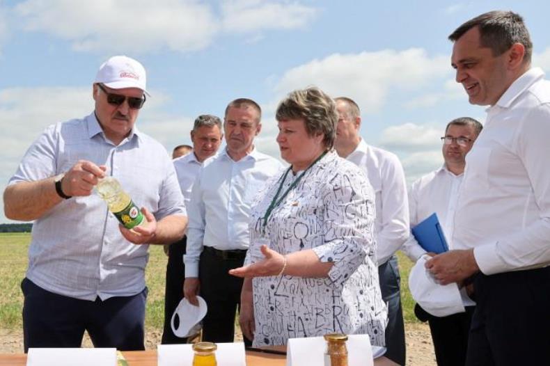 "Это революция будет на селе". На какую сельхозкультуру Александр Лукашенко сделал верную ставку?