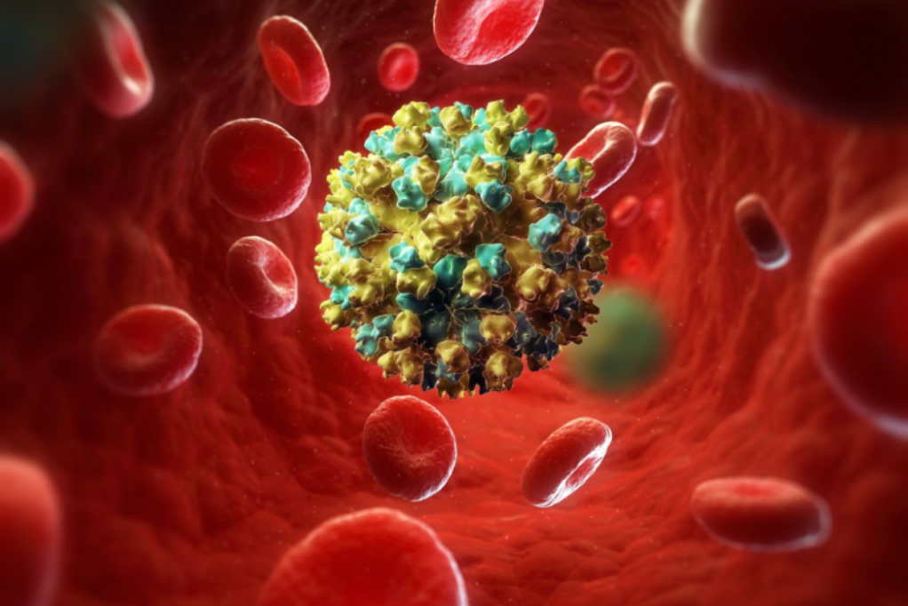  Вирусный гепатит А и Е – знать и предупреждать