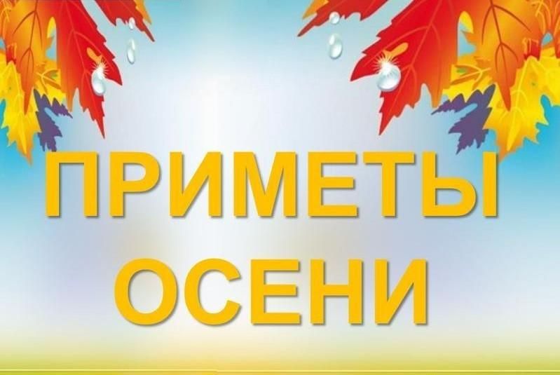 Народные приметы на 16 октября 2024: что можно и нельзя делать в этот день