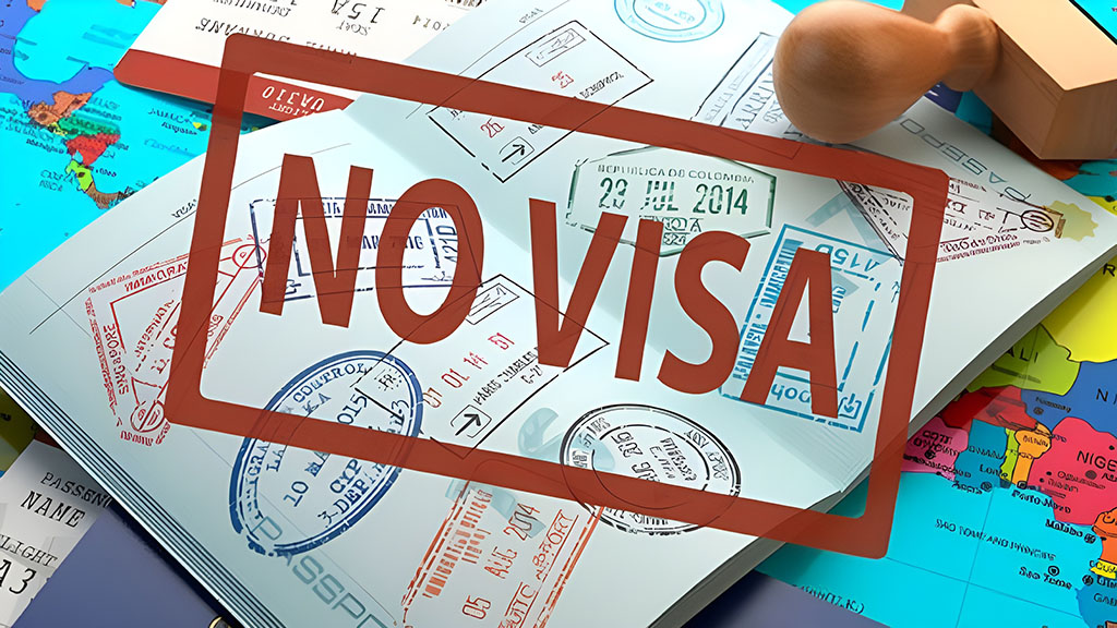 novisa-1-2.jpg